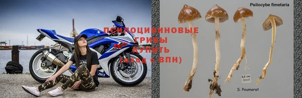 соль курить ск Балахна