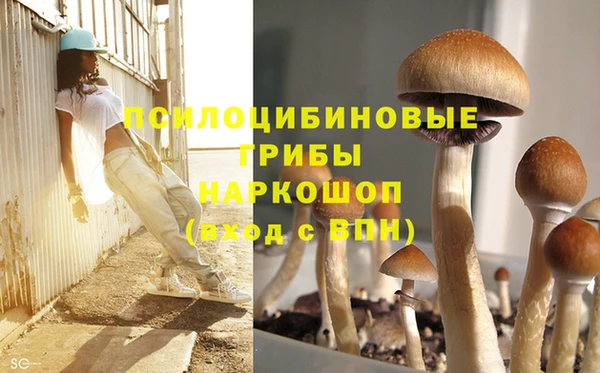 твердый Балабаново