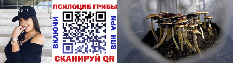 Галлюциногенные грибы прущие грибы  купить закладку  Вуктыл 